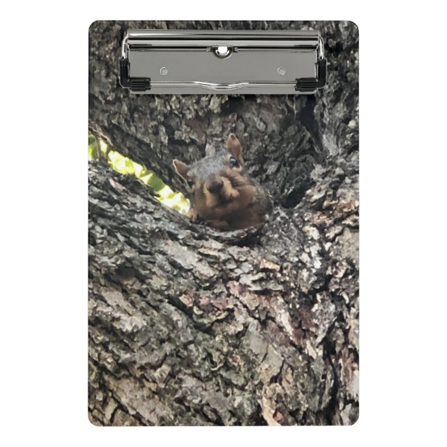 Minicarpeta De Pinza Ardilla (Anverso)