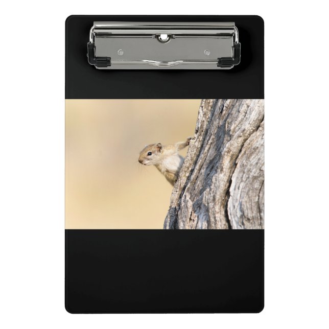 Minicarpeta De Pinza Ardilla de árbol (Anverso)