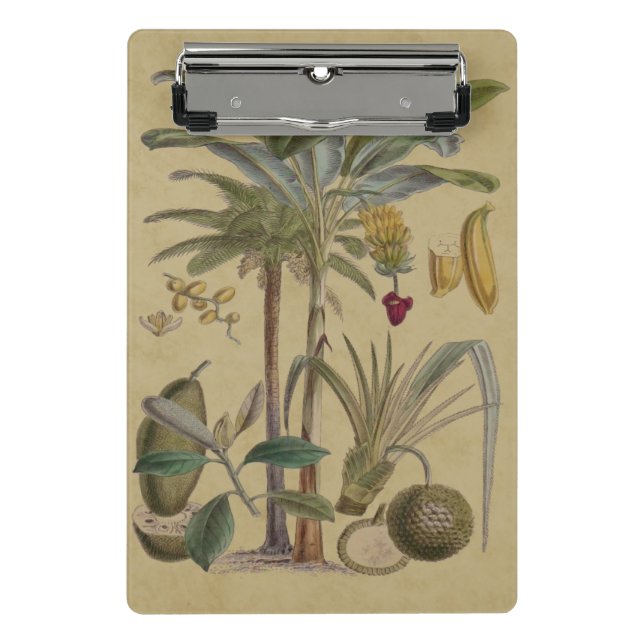 Minicarpeta De Pinza Arte botánico de frutas tropicales palmo antiguo (Anverso)
