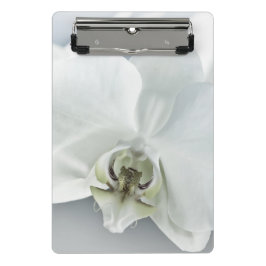 Minicarpeta De Pinza Arte Botánico de Orquídea Blanca Elegante