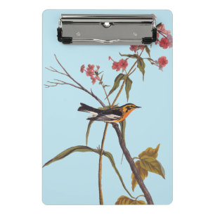 Minicarpeta De Pinza Arte de pájaro del pájaro del pájaro negro