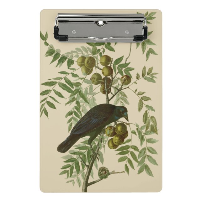 Minicarpeta De Pinza Audubon American Crow Black Bird (Anverso)