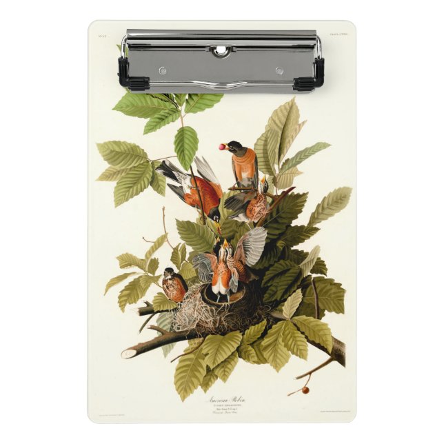 Minicarpeta De Pinza Audubon American Robin Wildlife Bird Ilustracion (Anverso)