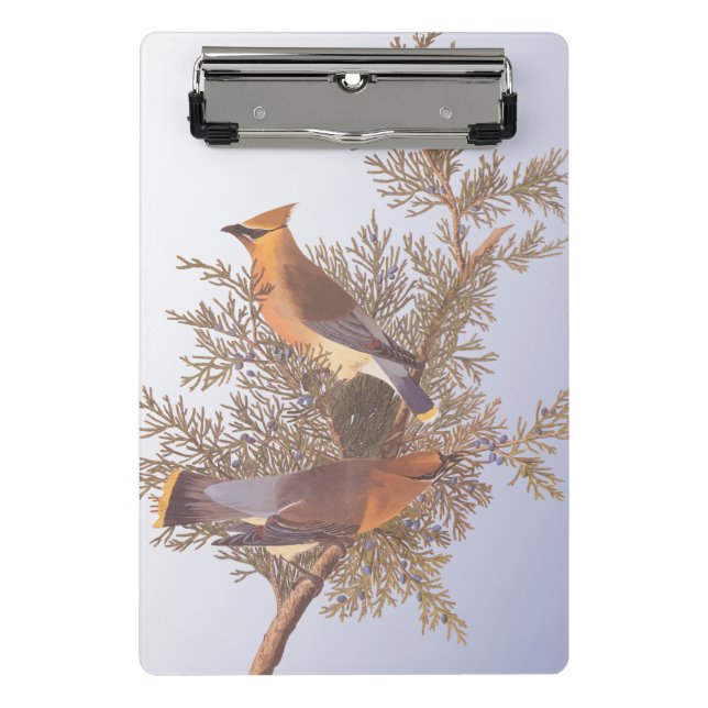 Minicarpeta De Pinza Audubon Cedar Waxwing Bird en Evergreen Juniper (Anverso)