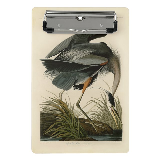Minicarpeta De Pinza Audubon Great Blue Heron Marsh Bird (Anverso)