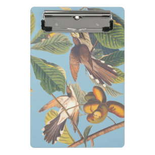 Minicarpeta De Pinza Audubon Yellow Bilckoo