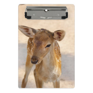Minicarpeta De Pinza Baby Deer