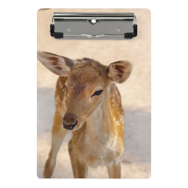 Minicarpeta De Pinza Baby Deer (Anverso)