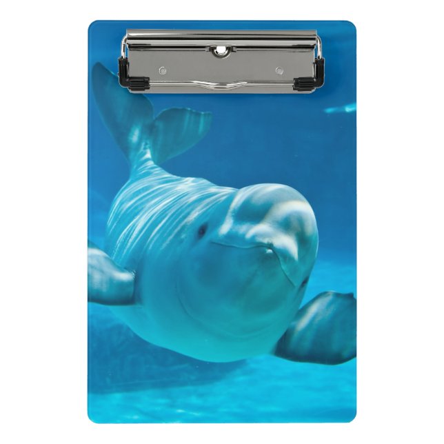 Minicarpeta De Pinza Ballena de la beluga (Anverso)