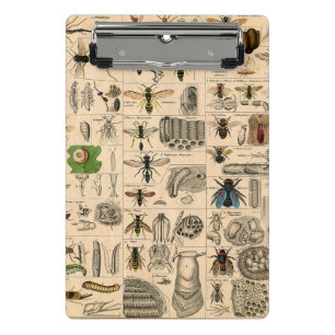Minicarpeta De Pinza Bee Insect Bug Wasp Naturaleza Abejas Pintura