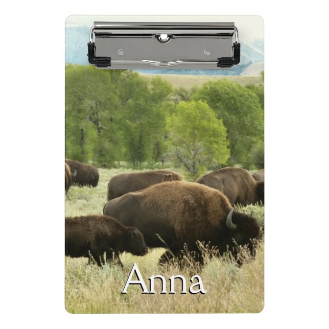 Minicarpeta De Pinza Bisonte de Wyoming (Anverso)