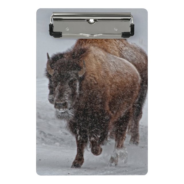 Minicarpeta De Pinza Bisonte de Yellowstone (Anverso)