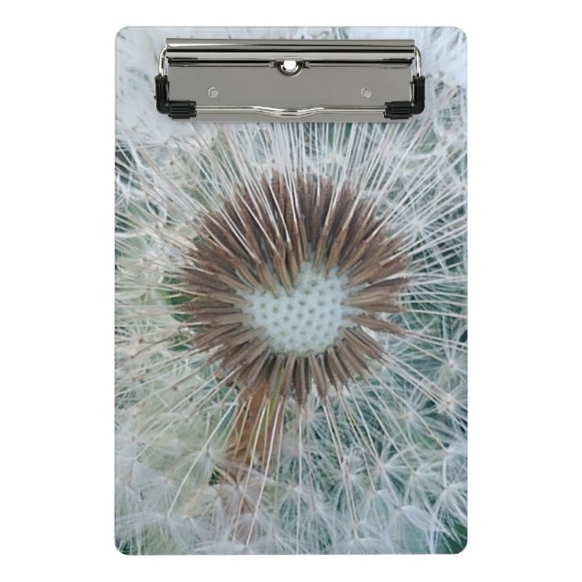 Minicarpeta De Pinza Bonito Dandelion blanco (Anverso)