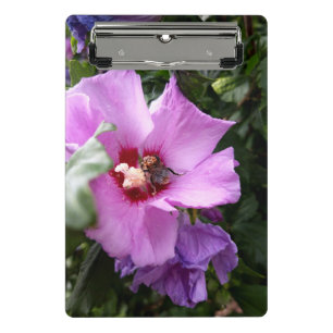 Minicarpeta De Pinza Bumblebee en la flor de Hibiscus