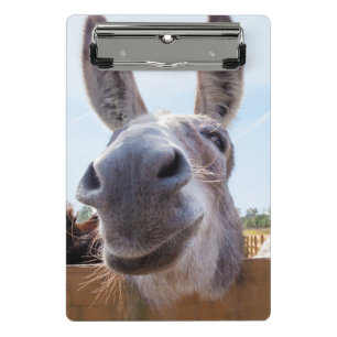 Minicarpeta De Pinza Burro sonriente