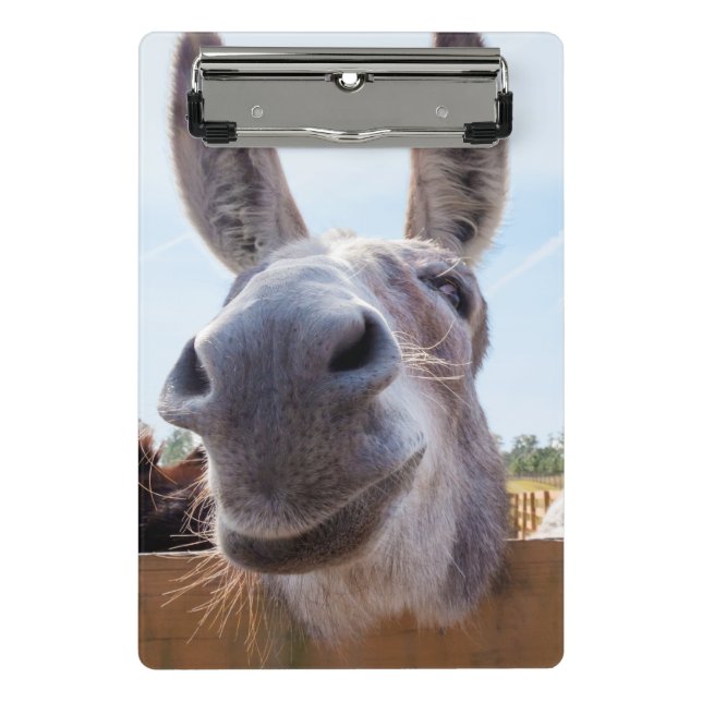Minicarpeta De Pinza Burro sonriente (Anverso)