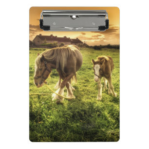 Minicarpeta De Pinza Caballo de la madre y del potro
