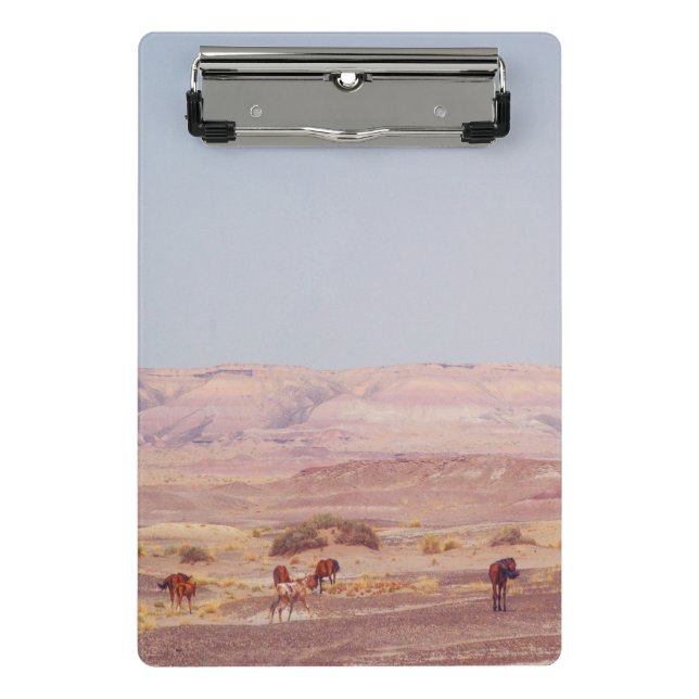 Minicarpeta De Pinza Caballos de desierto americanos P8670 (Anverso)
