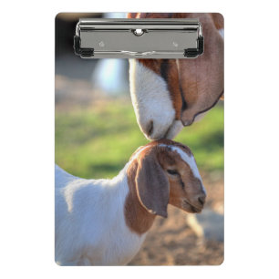 Minicarpeta De Pinza Cabra y bebé de la madre