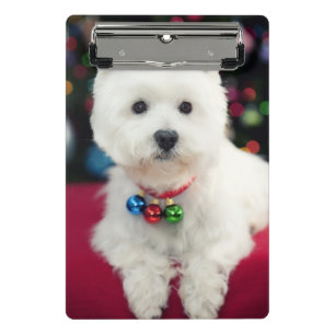 Minicarpeta De Pinza Campana de navidad del perrito que lleva en cuello