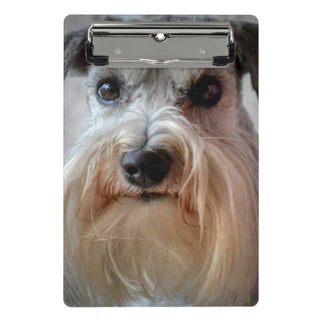 Minicarpeta De Pinza Cara del perro Schnauzer (Anverso)