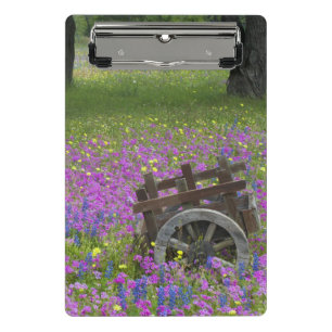 Minicarpeta De Pinza Carro de madera en campo de Phlox, Blue Bonnets