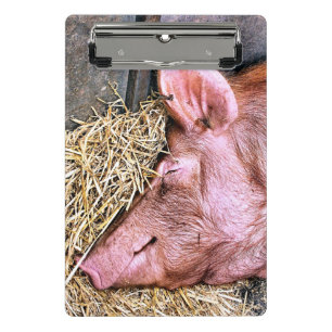 MINICARPETA DE PINZA CERDO CUTIDO