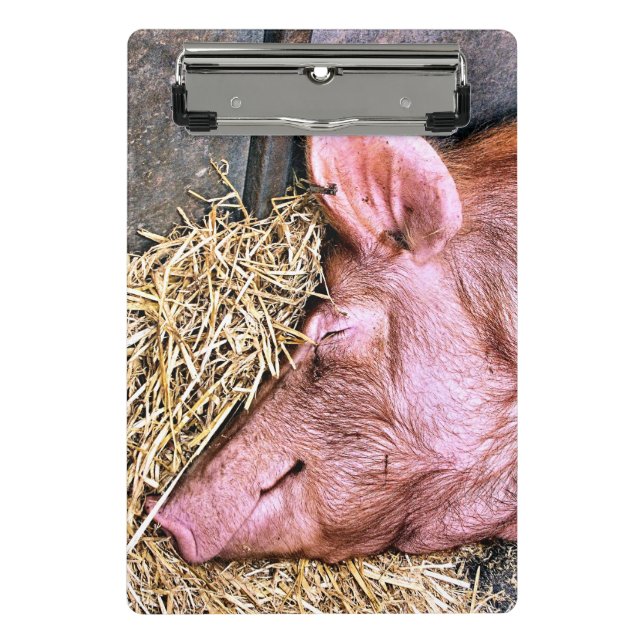 MINICARPETA DE PINZA CERDO CUTIDO (Anverso)