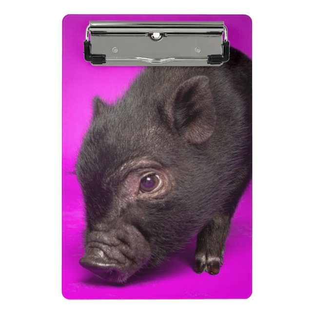 Minicarpeta De Pinza Cerdo negro del bebé (Anverso)