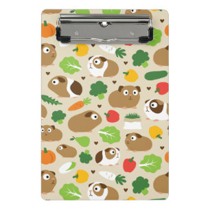 Minicarpeta De Pinza Cerdos de Guinea y sus tratamientos