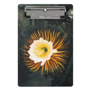 Minicarpeta De Pinza Cereus Nocturno Florecedor Vintage Arte Gótico