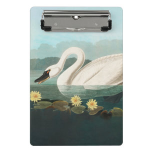 Minicarpeta De Pinza cisnes de agua blanca de cisne audubon
