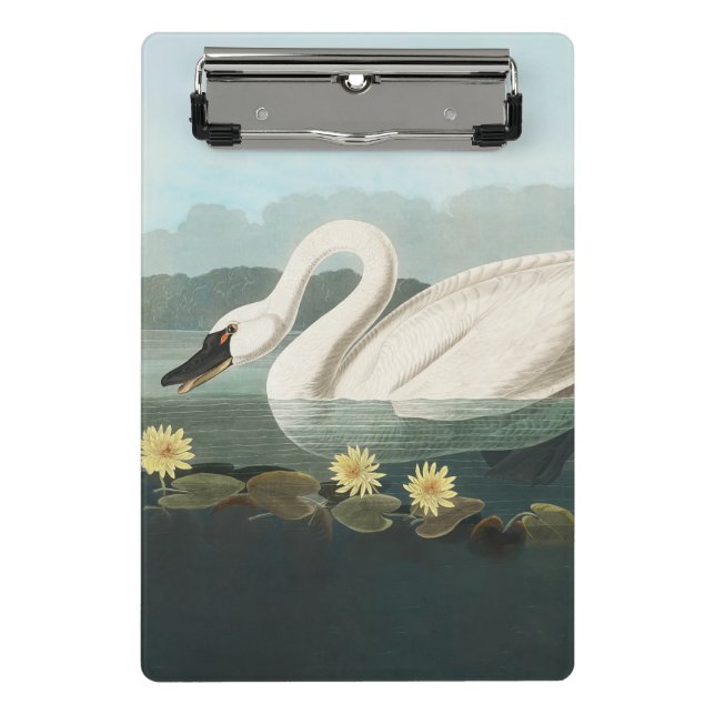 Minicarpeta De Pinza cisnes de agua blanca de cisne audubon (Anverso)