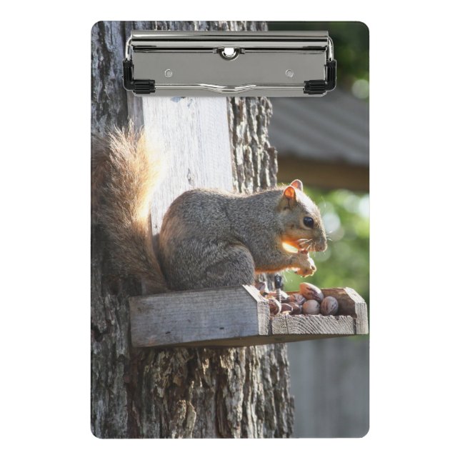 Minicarpeta De Pinza Clipboards de ardilla (Anverso)