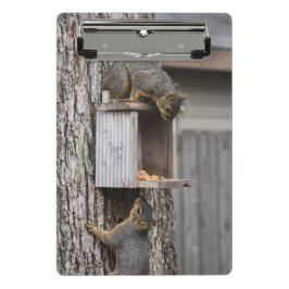 Minicarpeta De Pinza Clipboards de ardilla