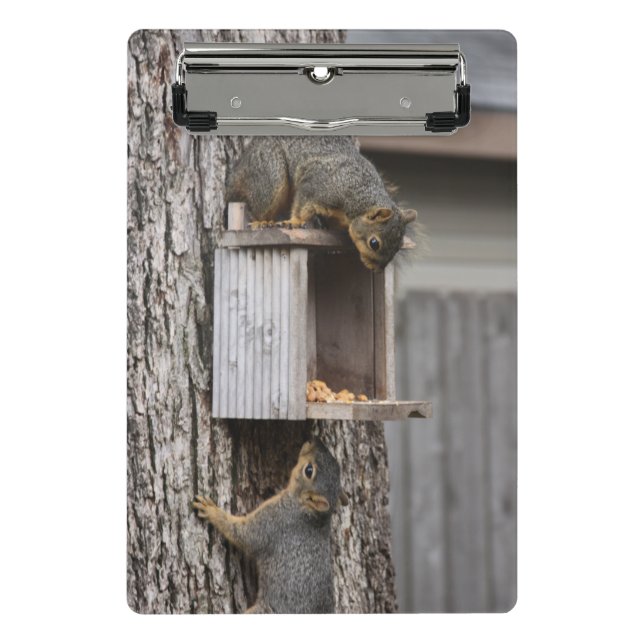 Minicarpeta De Pinza Clipboards de ardilla (Anverso)