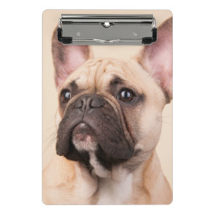 Minicarpeta De Pinza Crea tu propia foto personalizada de tu mascota