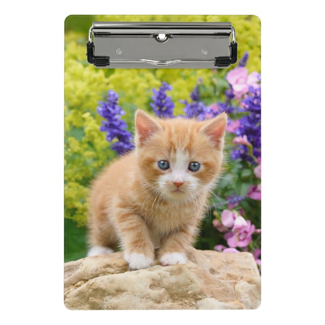 Minicarpeta De Pinza Cute Ginger Gatito Kitten Flowery Garden Retrato o (Anverso)