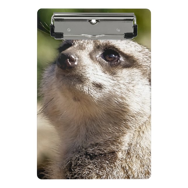MINICARPETA DE PINZA CUTE MEERKAT (Anverso)