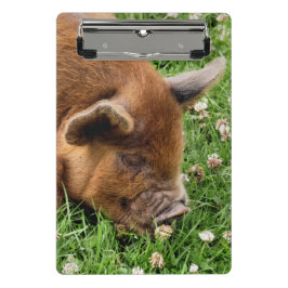 MINICARPETA DE PINZA CUTE PIG CLIPBOARD