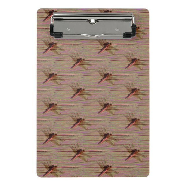 Minicarpeta De Pinza Dragonfly Colorful (Anverso)