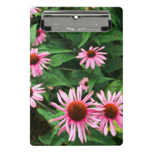 Minicarpeta De Pinza Echinacea Purpurea, deflor morado