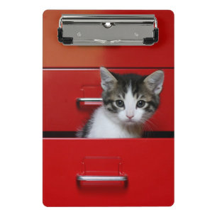 Minicarpeta De Pinza El mirar a escondidas del gatito