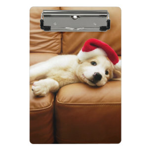Minicarpeta De Pinza El perrito lleva un gorra del navidad y la mentira
