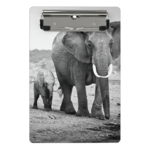 Minicarpeta De Pinza Elefante africano y becerros el   Kenia, África