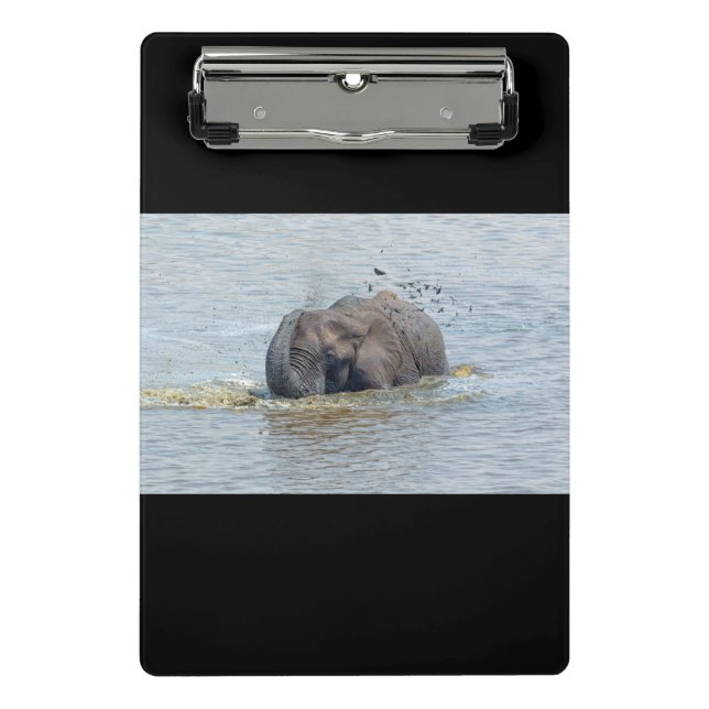Minicarpeta De Pinza Elefante de baño (Anverso)