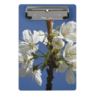Minicarpeta De Pinza Flor de primavera blanca