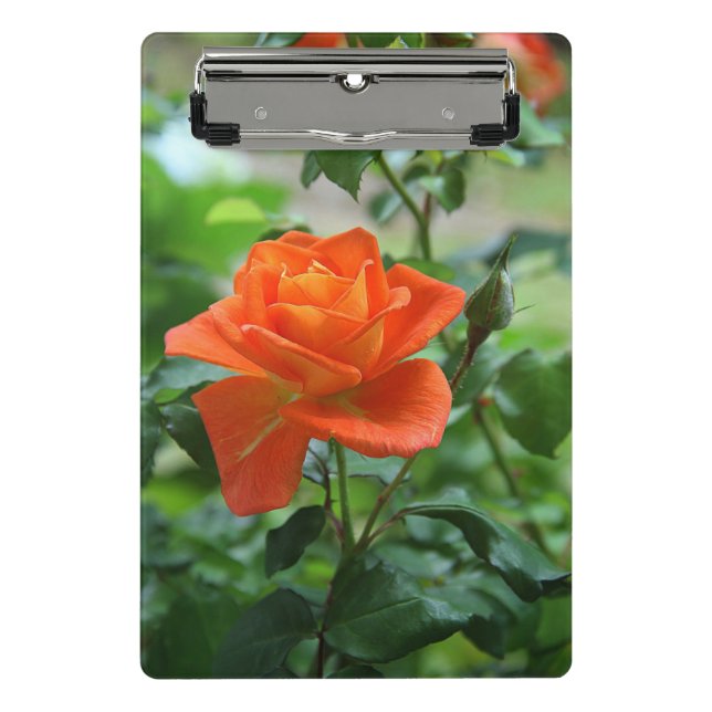 Minicarpeta De Pinza Flor rosa rosada natural (Anverso)