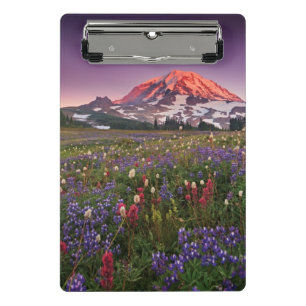 Minicarpeta De Pinza Flores coloridas en un parque nacional más