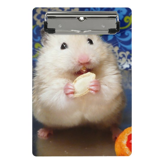 Minicarpeta De Pinza Fluffy Syrian Hamster Kokolinka (Anverso)